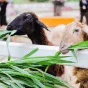 搜索 - 爱游戏体育APPjiebao