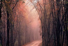 爱游戏官网：斯诺克最新战报！小特5-4夺赛点，或PK囧哥冲冠.