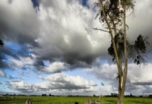 爱游戏官网：被暖心守护的小太阳，孙颖莎和河北队的动人故事.