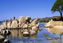 职业生涯第一百冠，德约科维奇过不去的坎？.